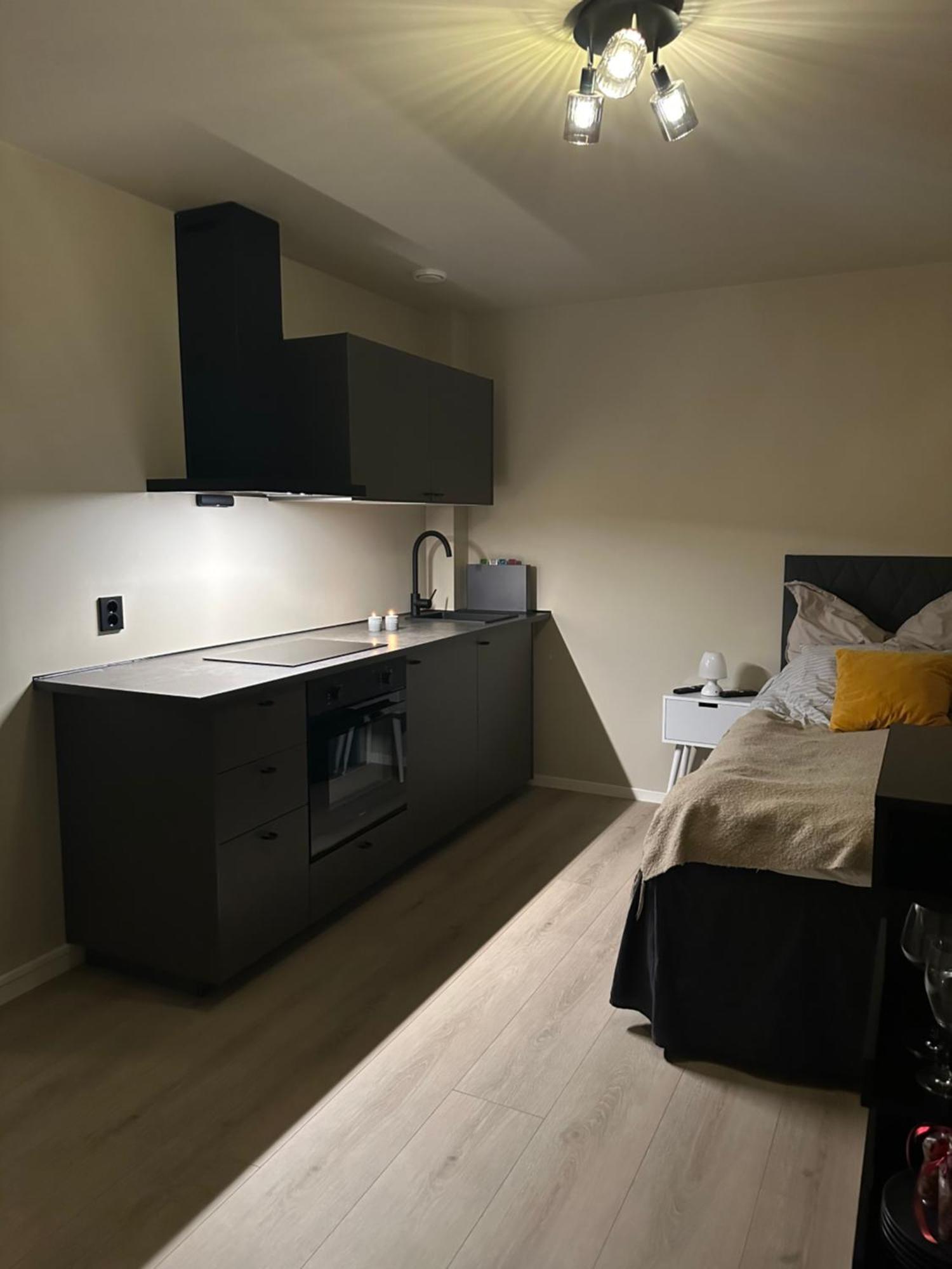 Northern Lights Studio Тромсё Экстерьер фото